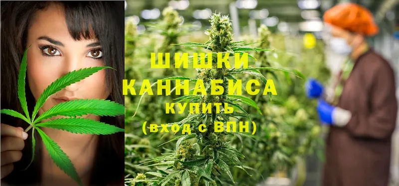 Бошки марихуана SATIVA & INDICA  ОМГ ОМГ ТОР  Ардатов 